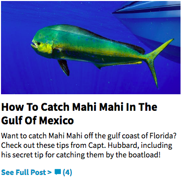 how to catch mahi mahi in the gulf of mexico