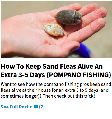 how to catch pompano with sand fleas
