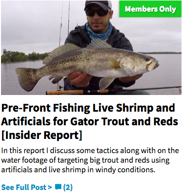 gator trout
