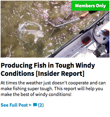 fishing in windy conditions