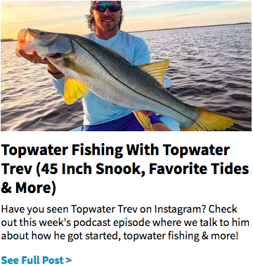 lunker snook