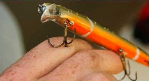 fishing hook lodged in finger