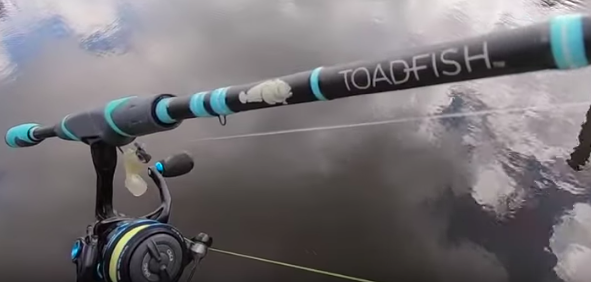 toadfish rod review