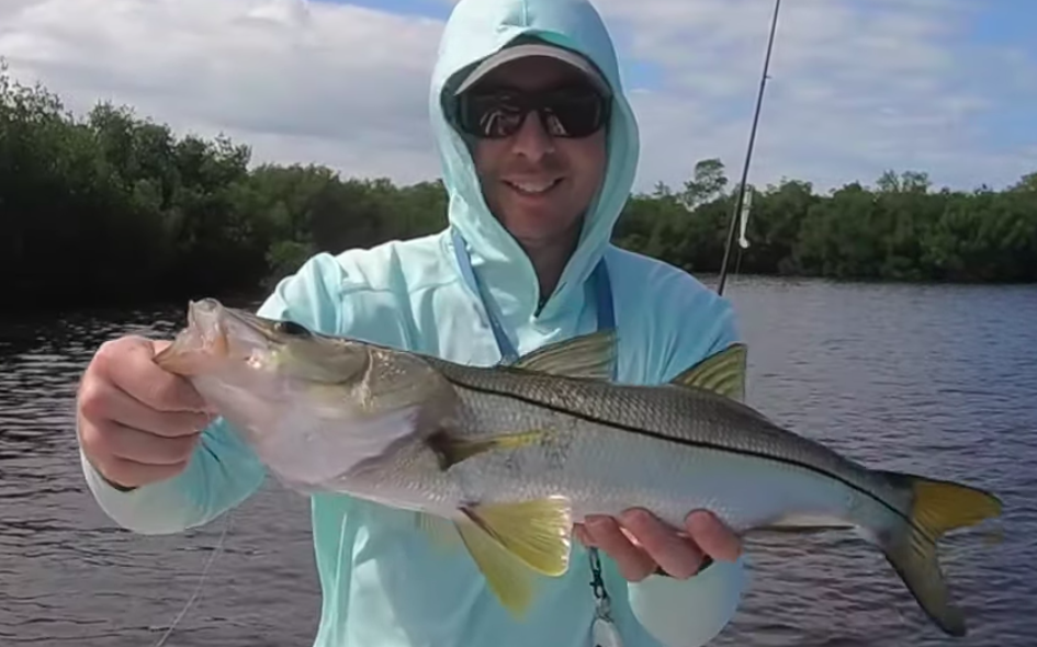 snook not scented lure