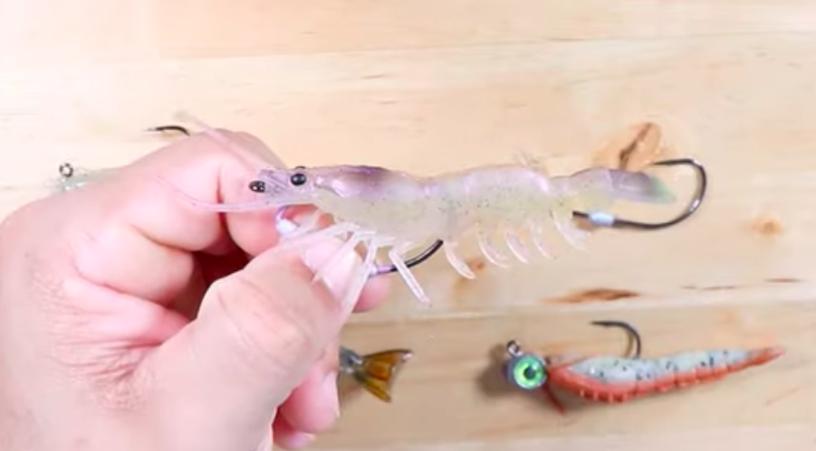 how to rig shrimp lures in shallow water