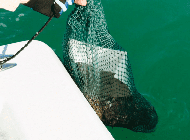 The Easy Way To Catch Spanish Mackerel (Best Lures, Spots, & Rigging)