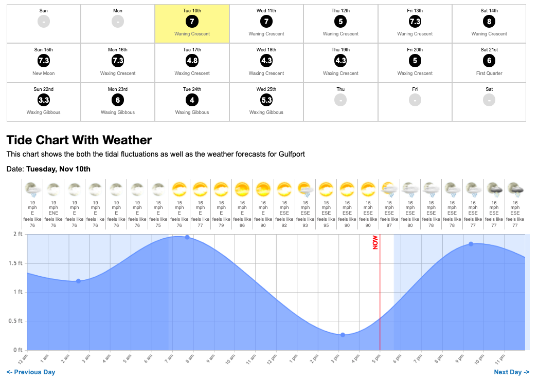 Is This The Best AllInOne Saltwater Fishing App Ever Made?