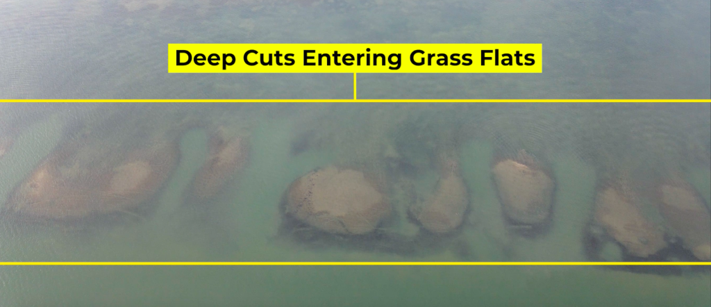 deep cuts entering grass flat
