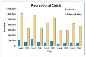 north carolina recreational flounder landings