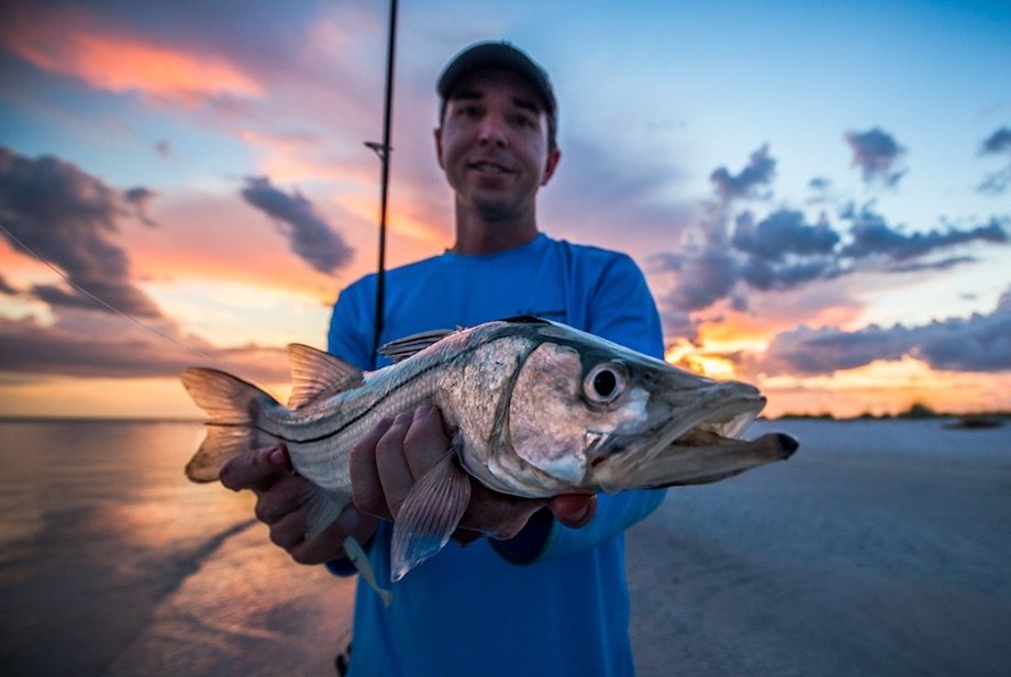 Snook_pic_at_LGI_-_6-16-15