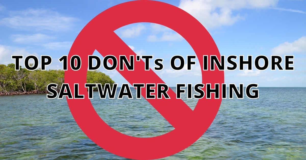 http://top%2010%20don'ts%20for%20saltwater%20fishingbeginners