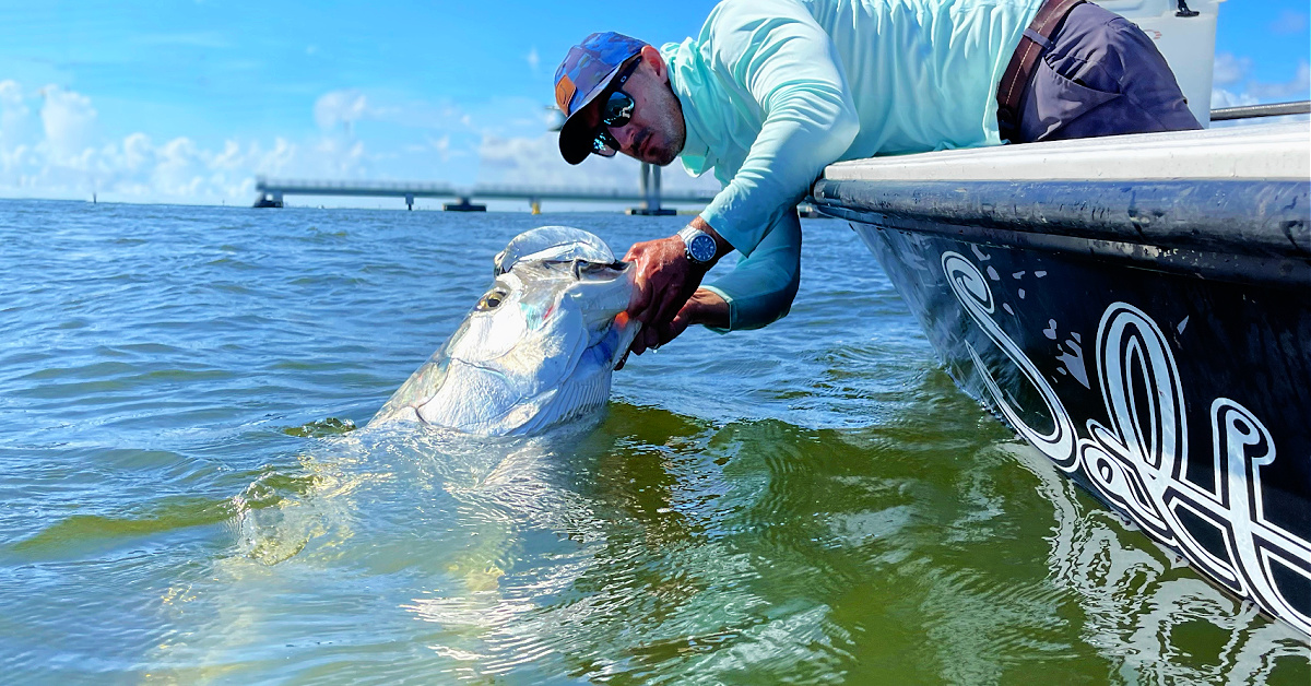 http://how%20to%20find%20the%20best%20tarpon%20rod