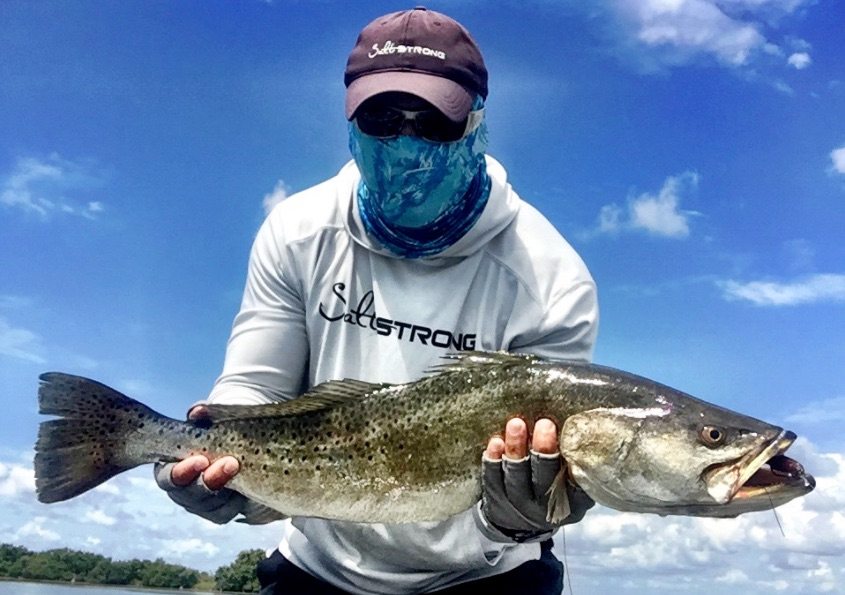 how to hold a seatrout