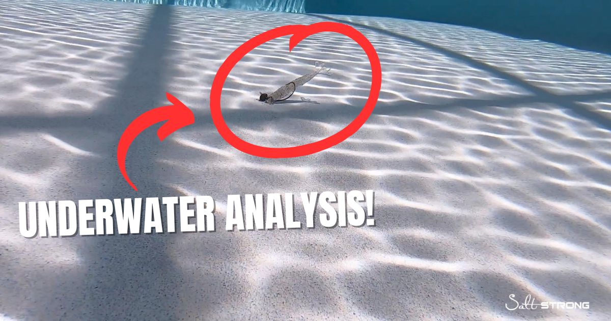 Underwater Power Prawn USA Analysis [Weedless VS. Jigheads]