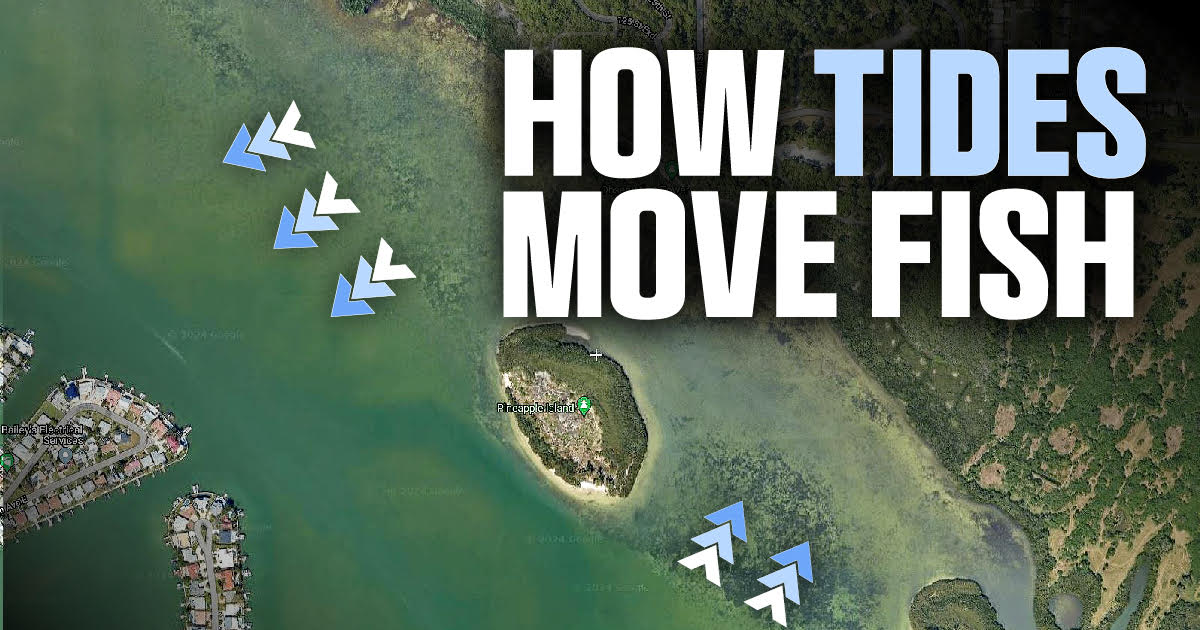 Missing the Bite? Mastering Tides for Inshore Fishing Success