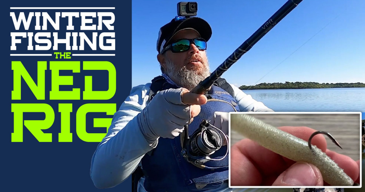 Why You Should Make Use Of THIS Bass Fishing Rig In Wintertime