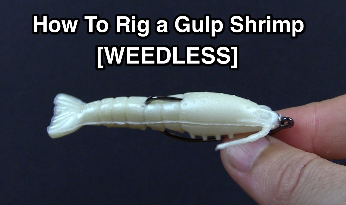 weedless gulp shrimp
