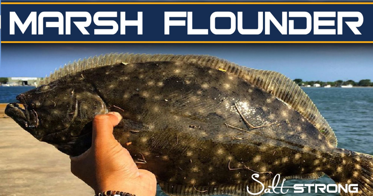 How To Catch More Flounder In The Marshes