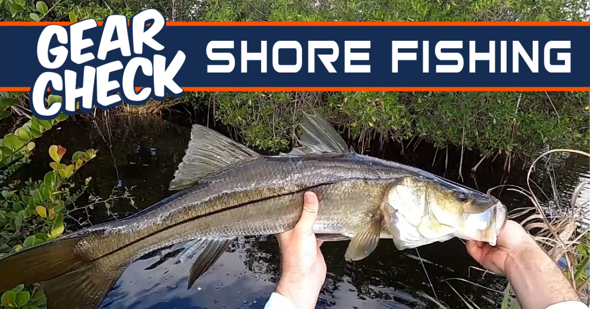 Gear Check: Shore Fishing Equipment You Need For Success