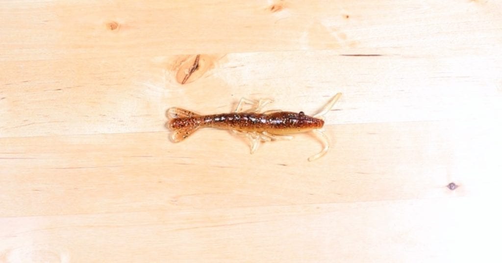 Best Shrimp Lures To Fish Under A Popping Cork [Brand Comparison]