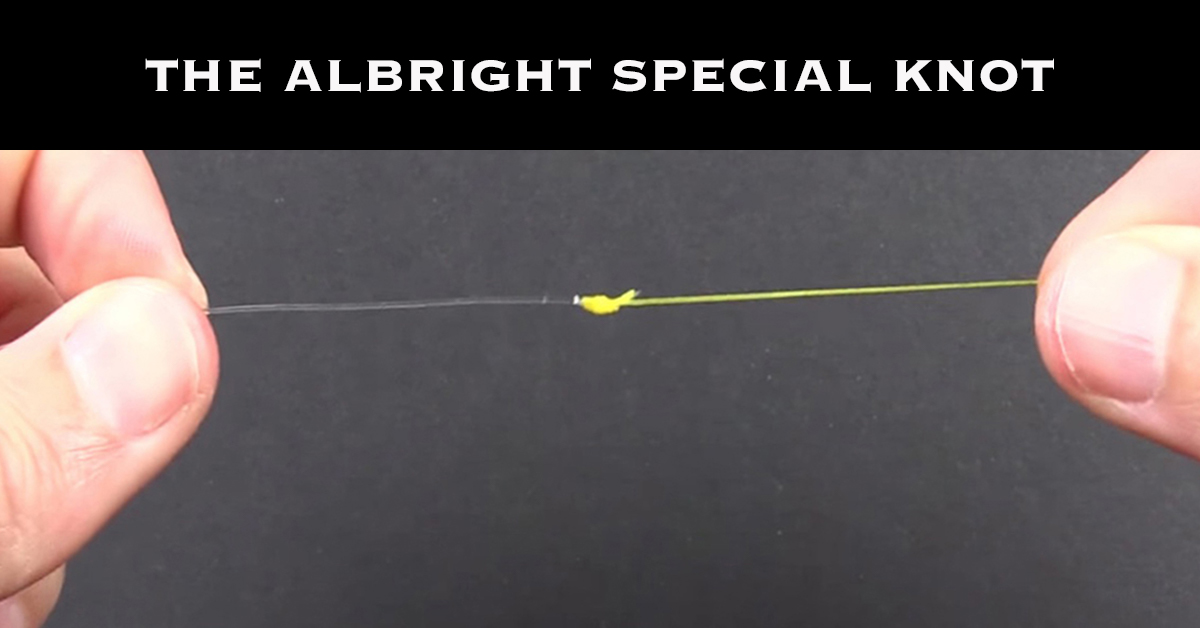 http://The%20Albright%20Special%20Knot