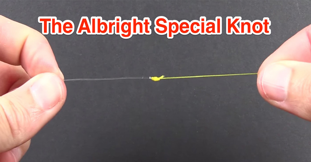 The Albright Special Knot
