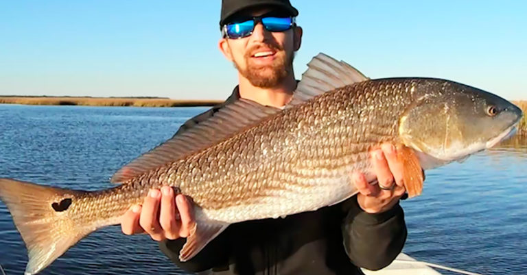 Mosse Per Pesca In Acqua Salata – Mud Minnow Taglia 2 – Per Snook, Redfish, Bass