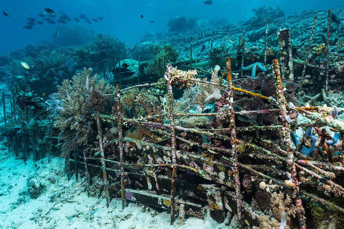 Nearshore Alabama Artificial Reef 