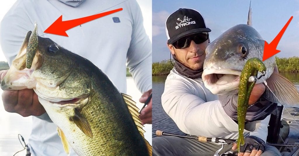 lures that catch bass and redfish