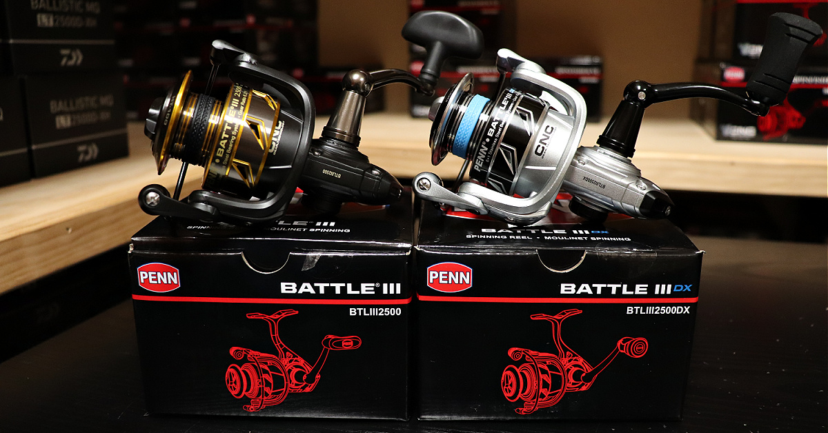 What's Inside Penn DX Reels? (Battle III And Slammer IV Series)