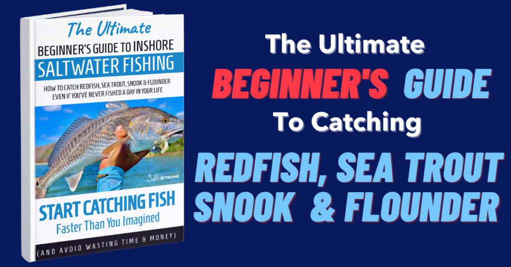 Fishing Techniques: The Beginner's Guide To Trolling