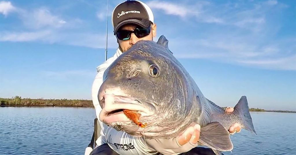 4 Best Fishing Lures For Black Drum (When To Use & How To Rig Them)