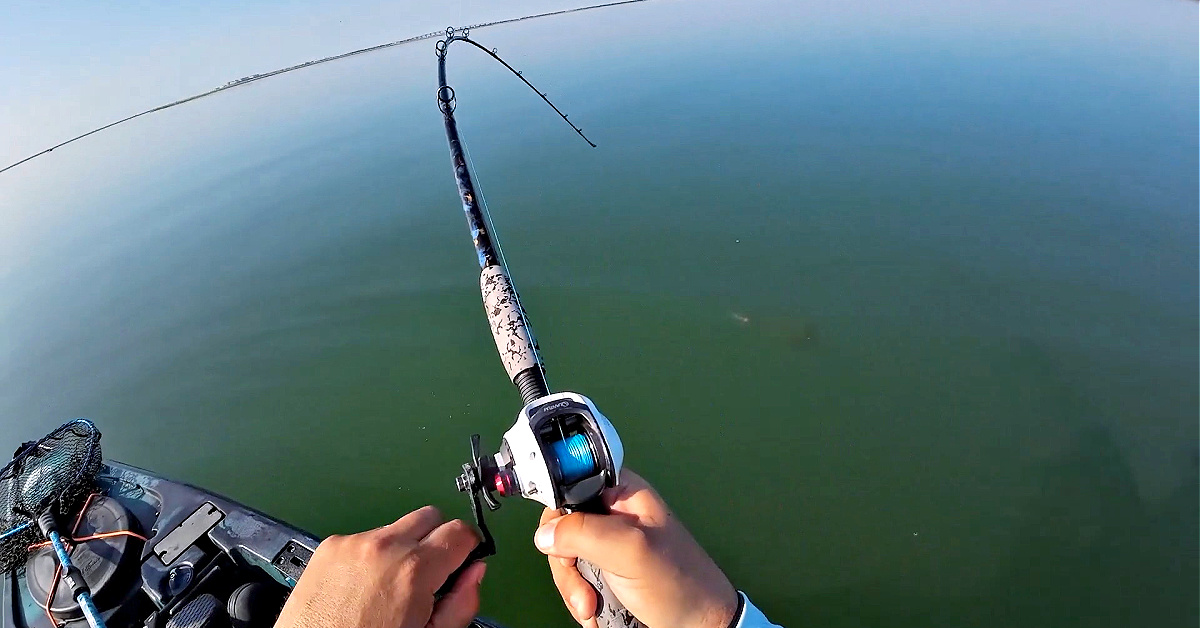The Fishing Basics You Need to Know to Set a Hook