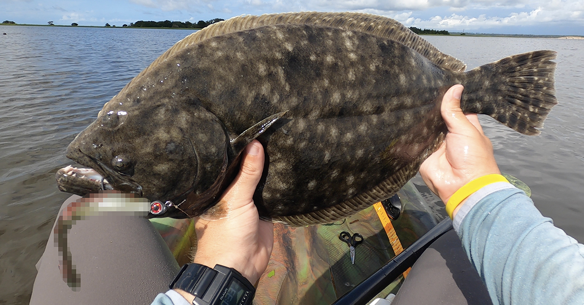 http://best%20lure%20for%20big%20flounder