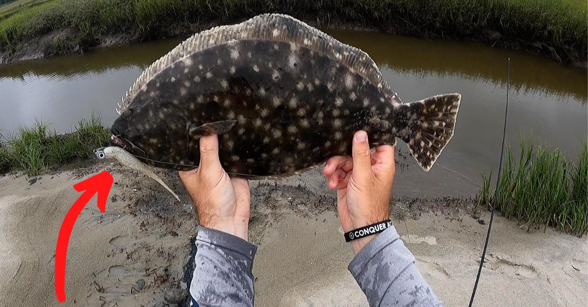 1 Lure For Big Flounder In The Springtime