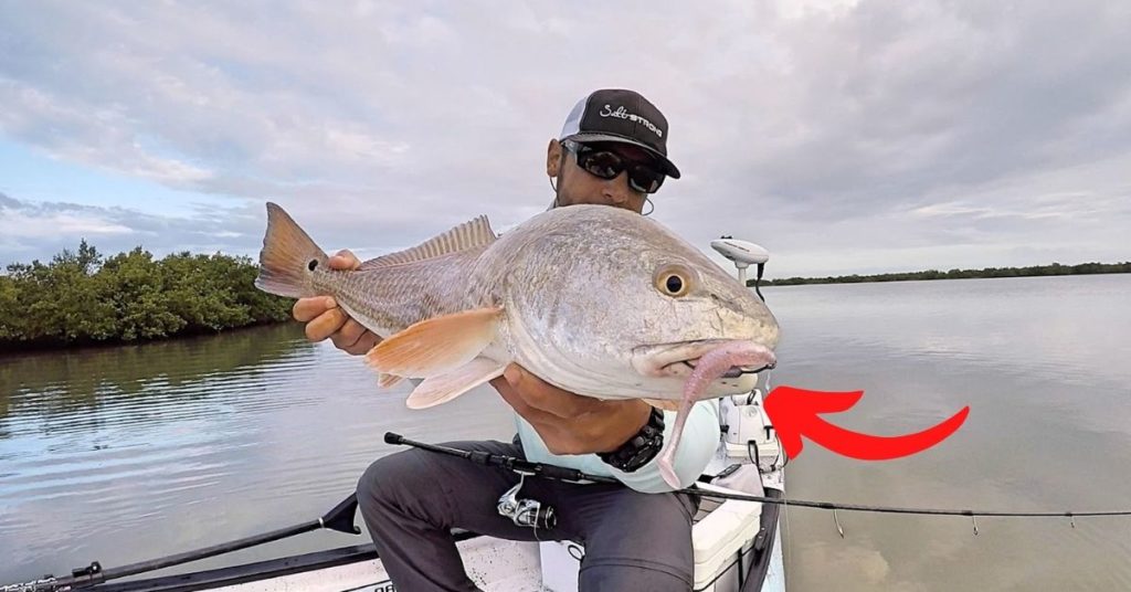 the best lure for spring redfish