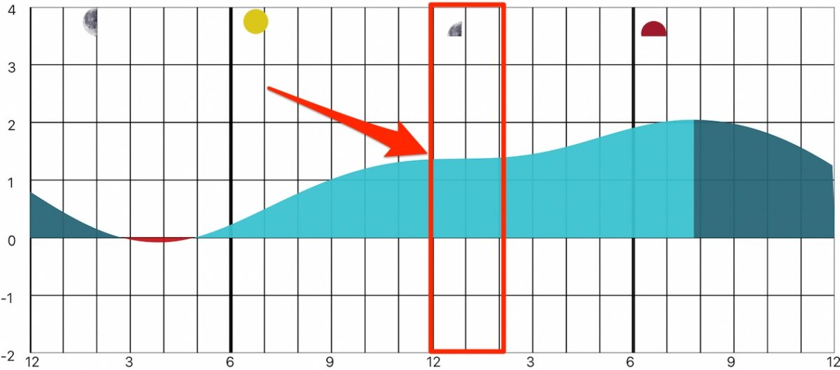The Best Tides For Redfish, Snook, & Speckled Trout [Flats, Bays, & Creeks]