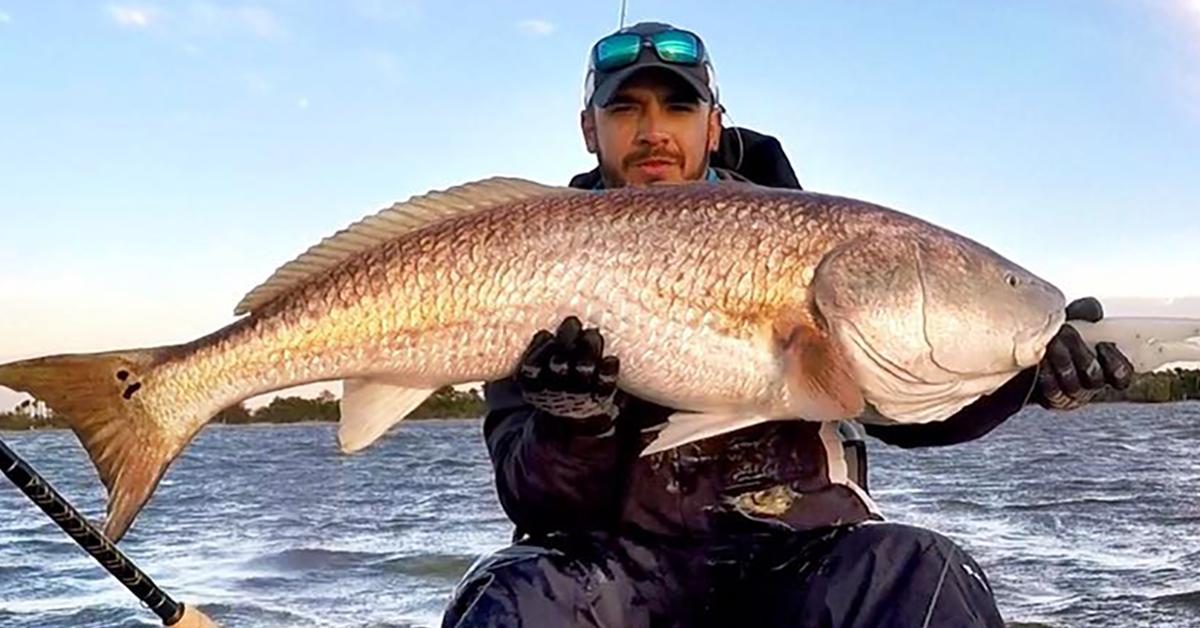 The BEST Time To Use Cut Bait (For Trophy Redfish, Trout & Snook)