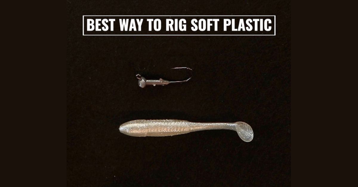 1 Way To Rig A Soft Plastic Lure On A Jighead
