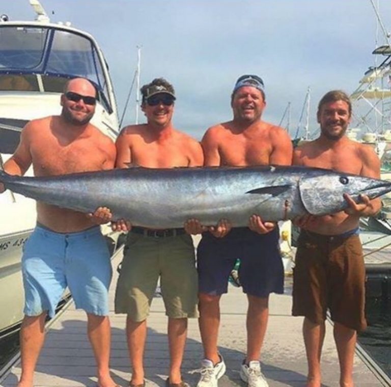 Live Bait vs Artificial Which Fishing Technique Is Best For Inshore Fishing?