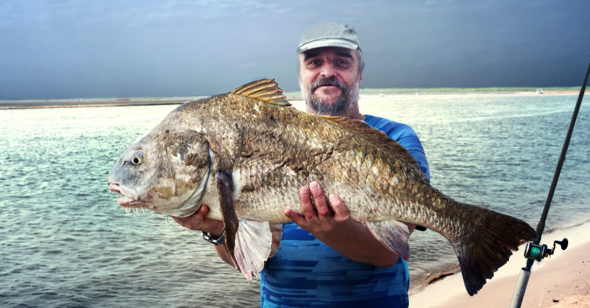 Fishing for Beginners: How to Fish for Black Drum