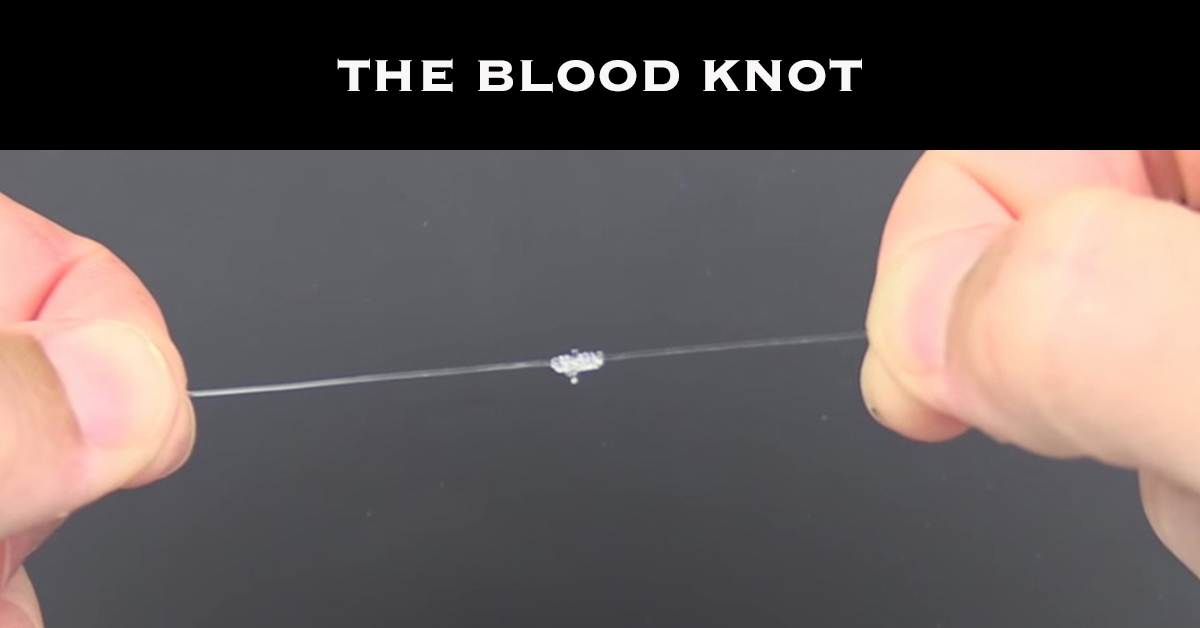 http://the%20blood%20knot