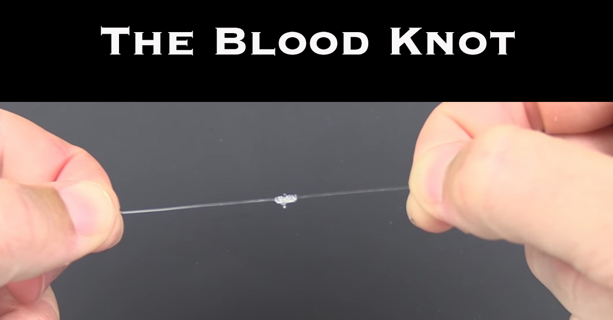 the blood knot