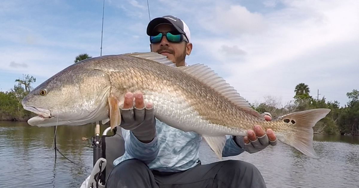 7 Tips For Rigging Blue Crabs For Bull Redfish (Plus Video Proof)