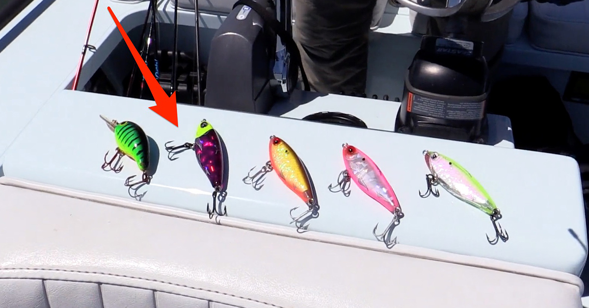 The Best Saltwater Fishing Tips In The Universe (July 8, 2018)