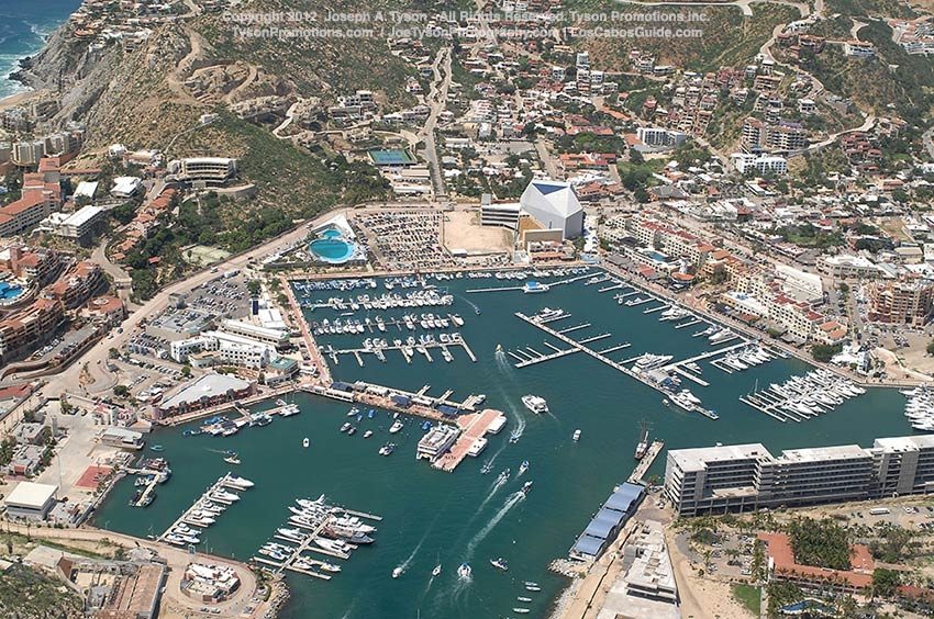 cabo san lucas striped marlin