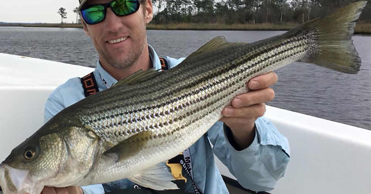 How To Catch Striped Bass In Rivers (Best Lures, Spots, Seasons & More)
