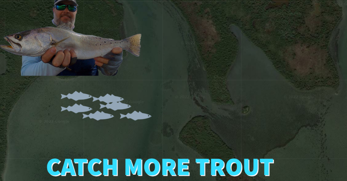 http://how%20to%20catch%20more%20speckled%20trout%20from%20a%20school