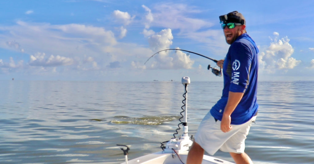 catching big sharks on topwater lures