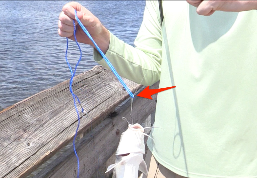 catfish wrap rope around line